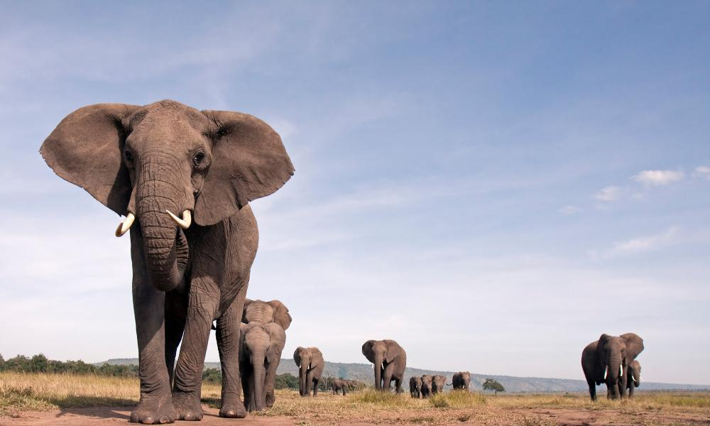 How to install PostgreSQL in a custom directory