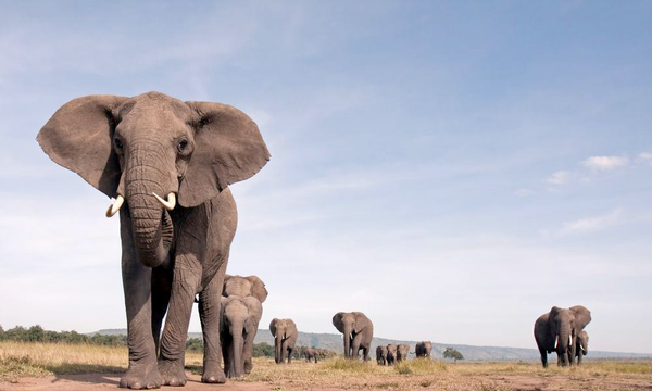How to install PostgreSQL in a custom directory